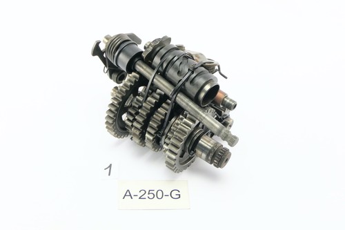 Aprilia 125 rotax 123 - aprilia, rs